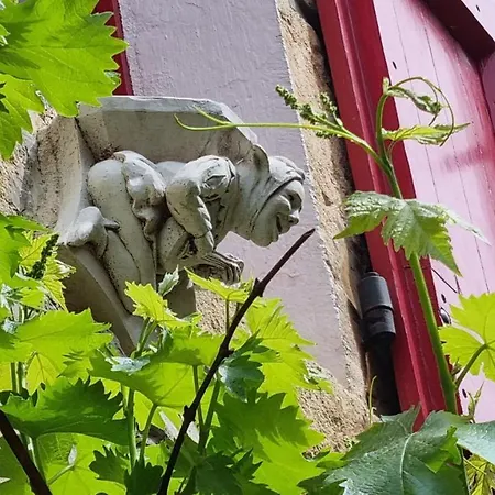 Casa vacanze La Garance Voyageuse Boyne